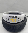 Westlife Sound-Activated LED Flashing Concert Wristband